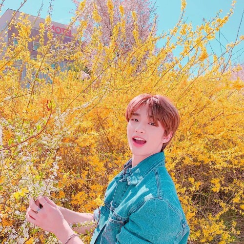straykidshyunjins 169043254 870462816850875 2246401417315995229 n