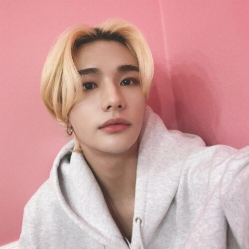 jypstraykids 272745154 906804010029582 793539350716538385 n.webp (1)