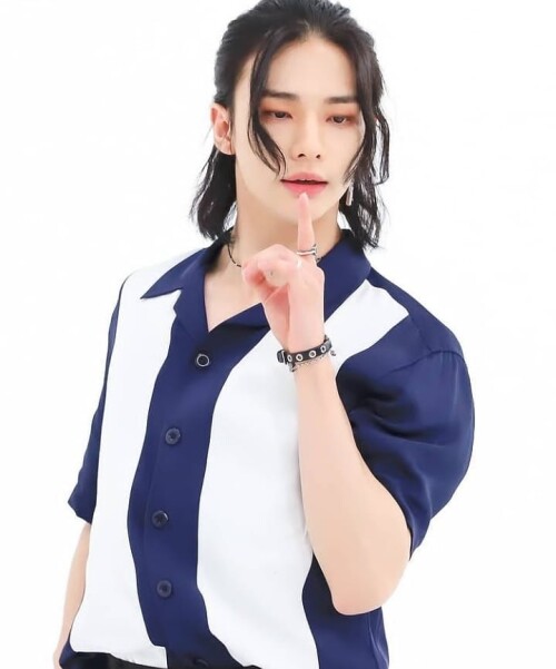 straykidshyunjins 240605579 2968982413416025 6404433440875355557 n