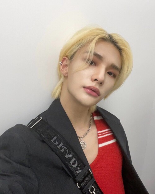 straykidshyunjins 272808750 1897368040465291 3614246913673778923 n