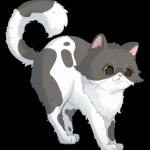 JTPHOA