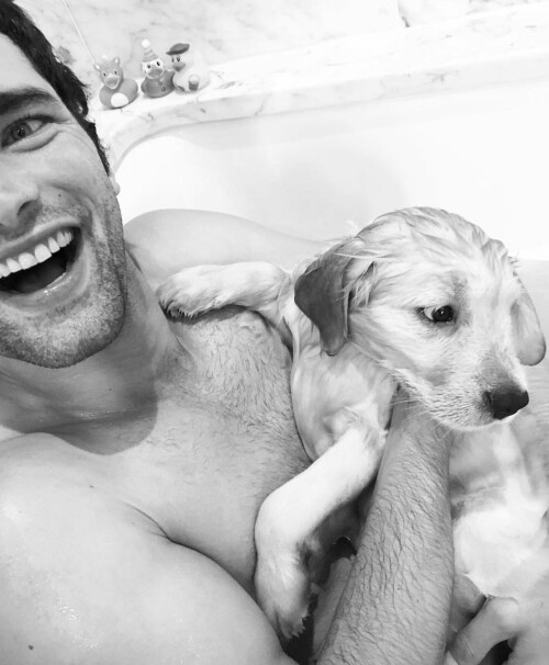 seanopry55 227617534 356684649390636 2277658145122202795 n