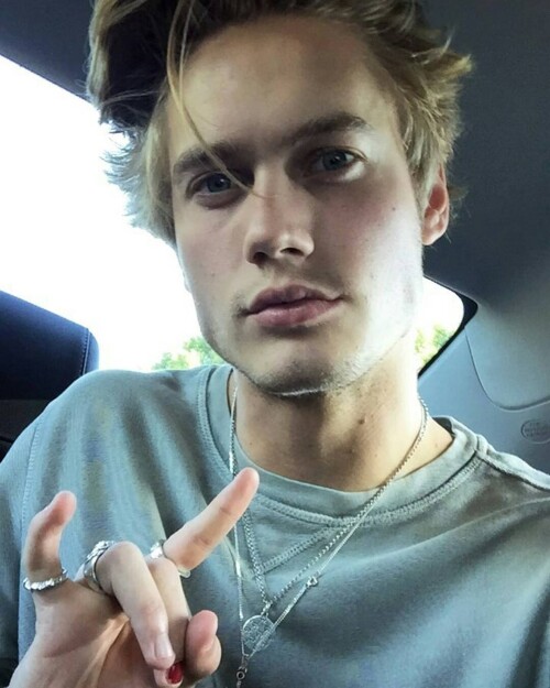 neelsvisser.nl 147190855722009229888123921681689620774912n