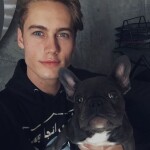 JvQlmv