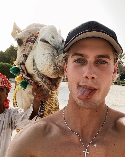 neels 72748464 190345611986190 794371231903959600 n (1)