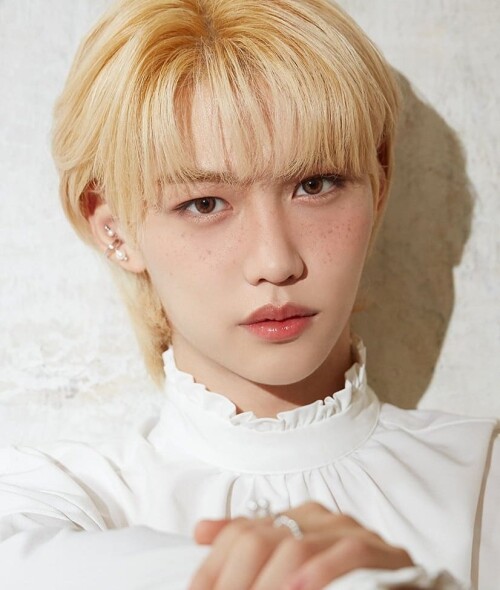 felix straykids 158948919 4103197469692011 142652503247913374 n
