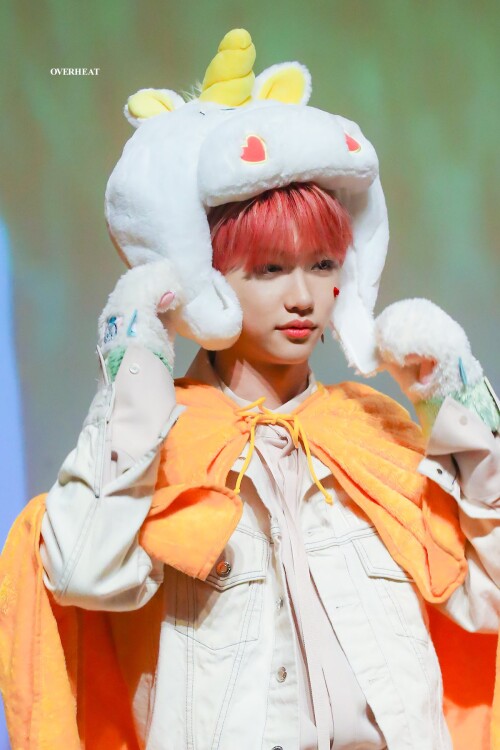 Felix lee felix 43182831 1200 1800