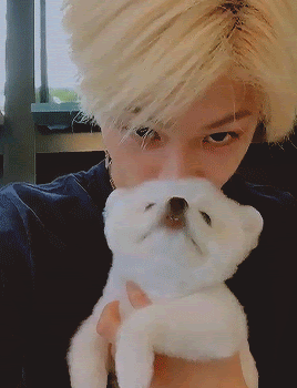 Jy71ea.gif