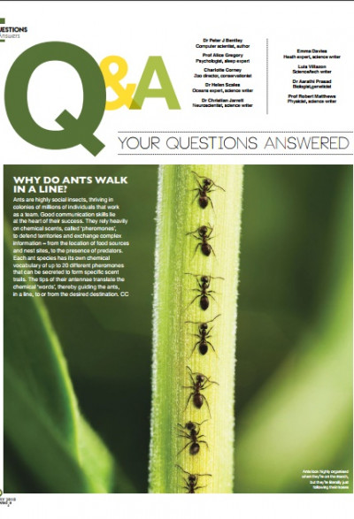 BBC Knowledge February 2018 (4)