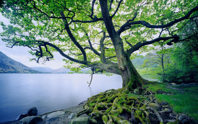 Stunning Computer background image 76 High resolution HD Desktop Wallpaper
