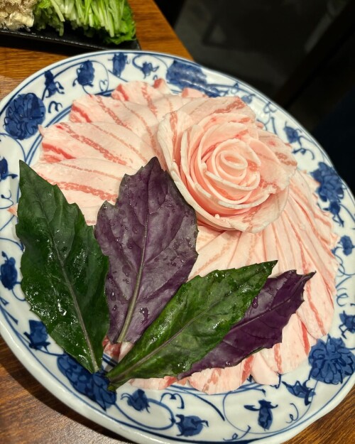 Hana Okamoto 453