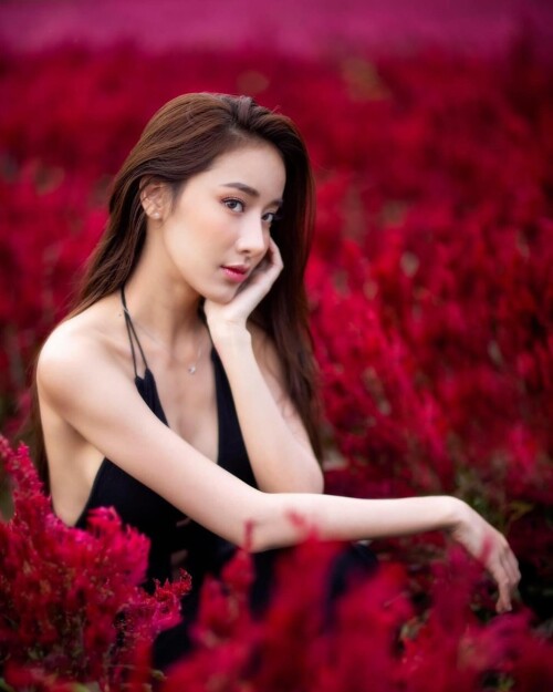 Mook Pichana 851