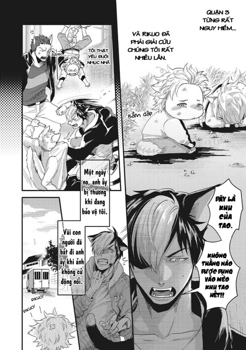 NJdyRb.jpg