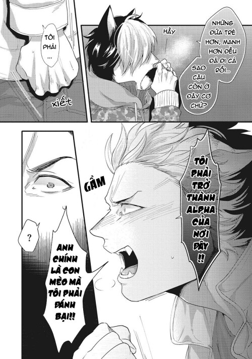 NJq2m3.jpg