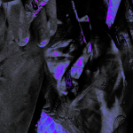 NpWgT7
