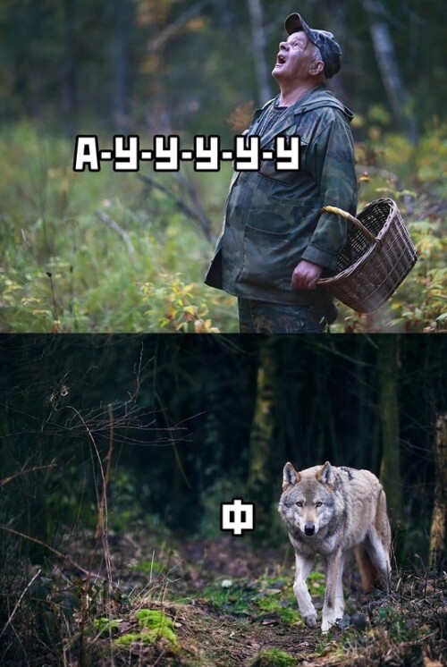 ON7ce1.jpeg