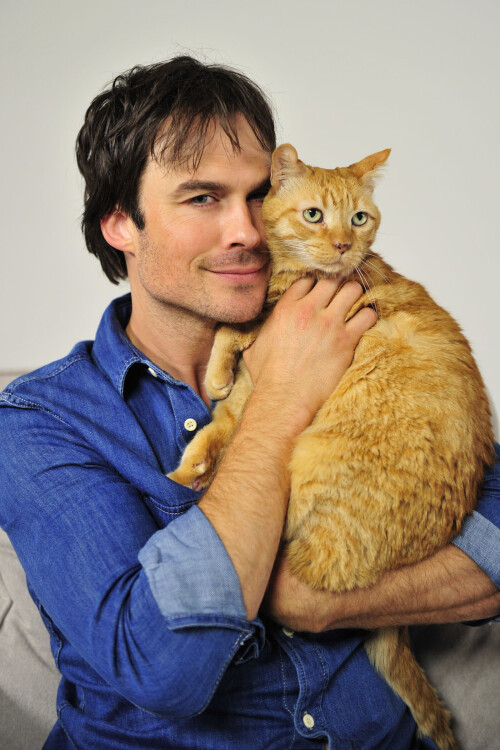 Ian Somerhalder