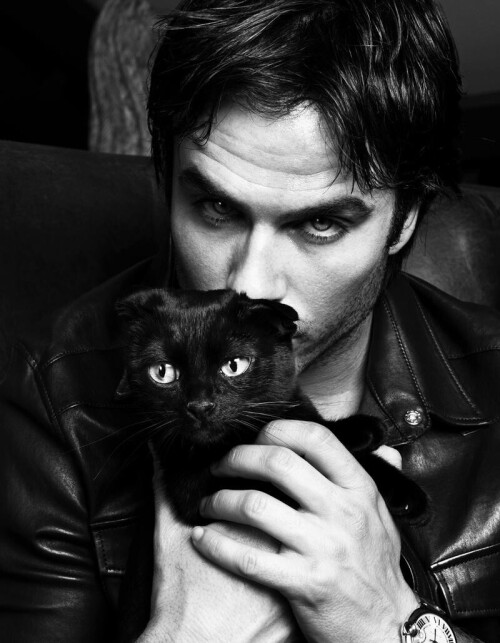 HQ PICTURES IAN228AmberSeyfried29