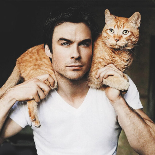 ian somerhalder cat photo1