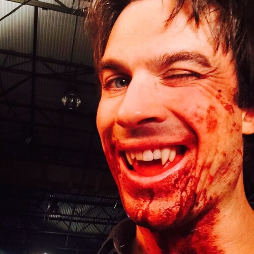 iansomerhalder 69233658 1364587077027931 3730706076037960053 n