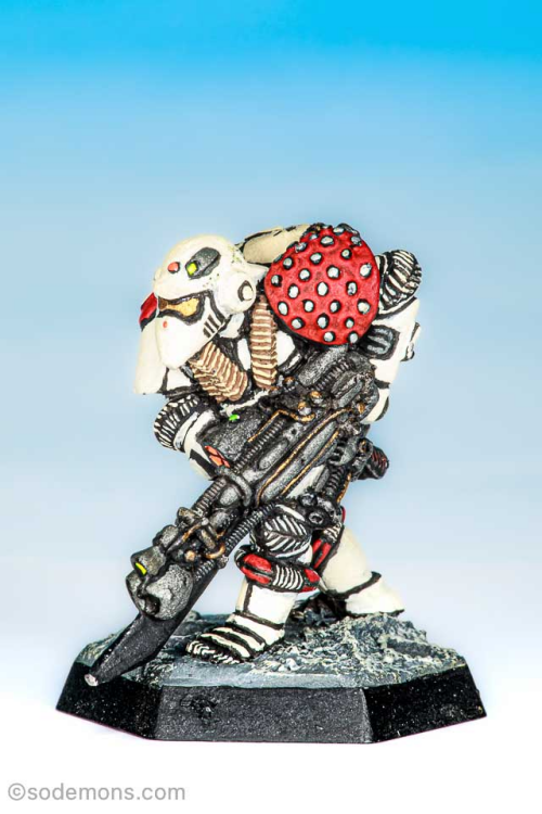 rogue trader le2