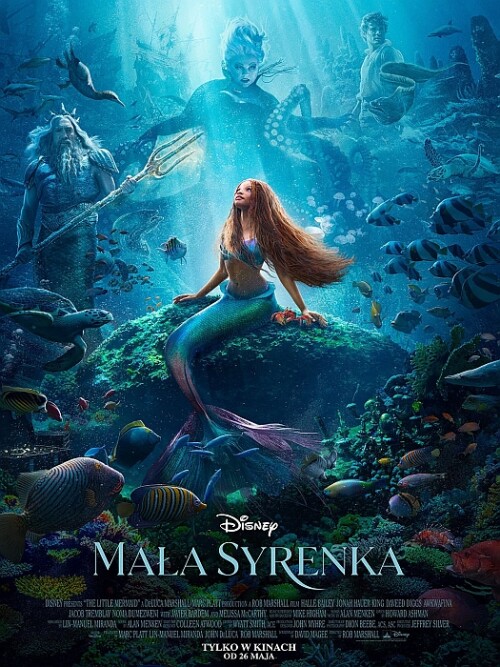 Mała Syrenka 2023