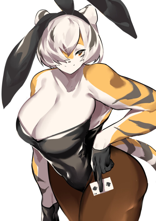 QkCcl9.jpeg