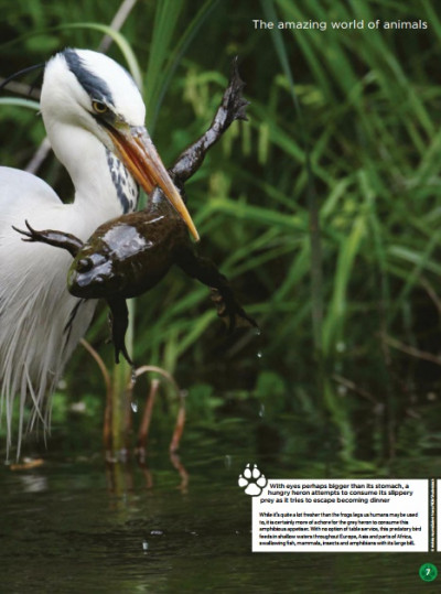 World of Animals UK 1 October 2017 (3)
