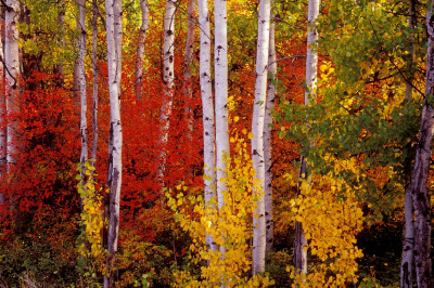 RCV7Q.jpg