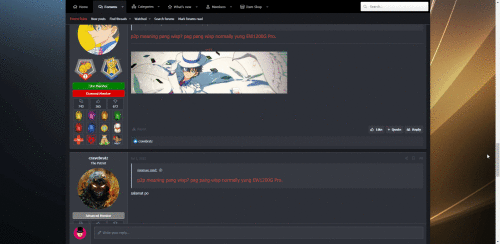 RIopc1.gif