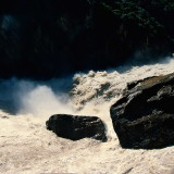 RRAs0