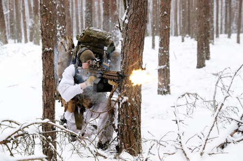 norwegian lrrp