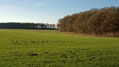 Rk791.jpg
