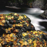 Rtuf0