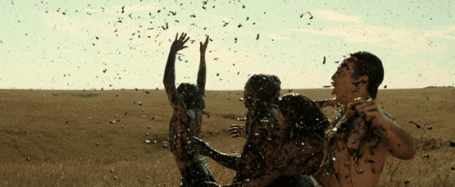 SEMxA1.gif