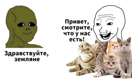 SG7Ct9.jpeg