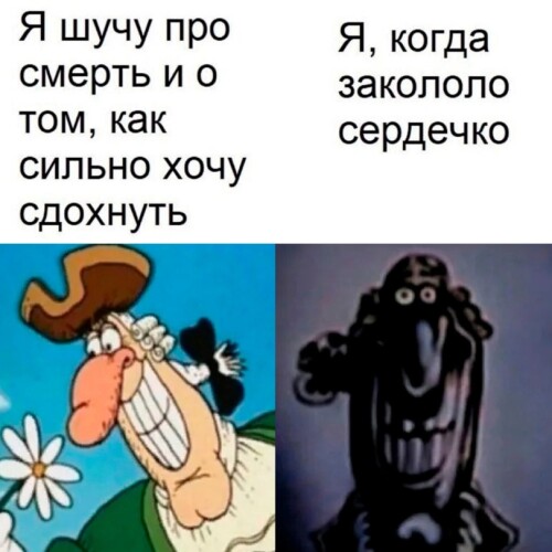ShKv85.jpeg