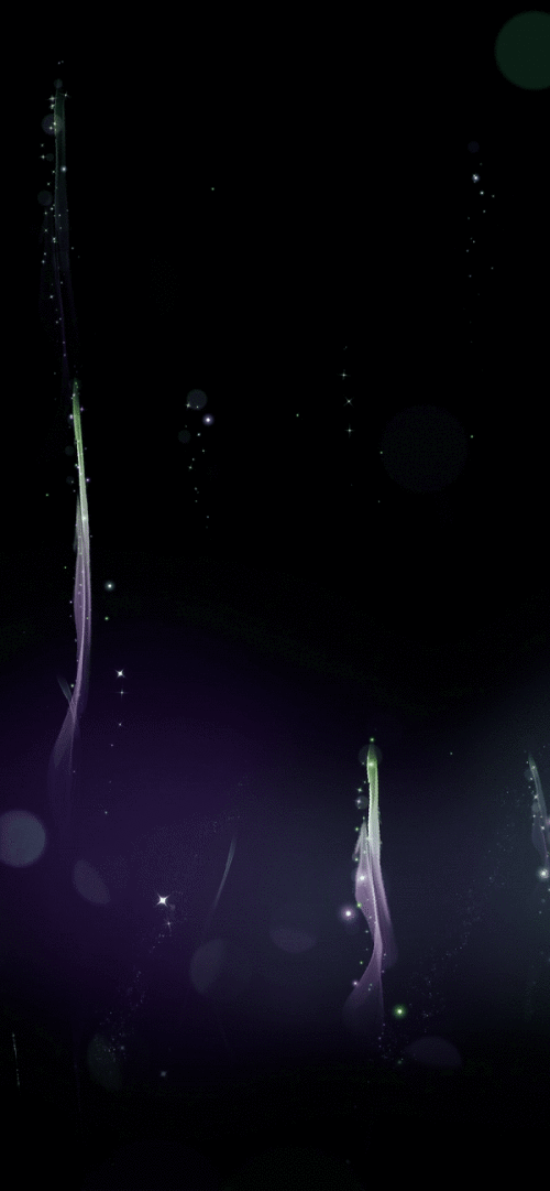SlXK3k.gif