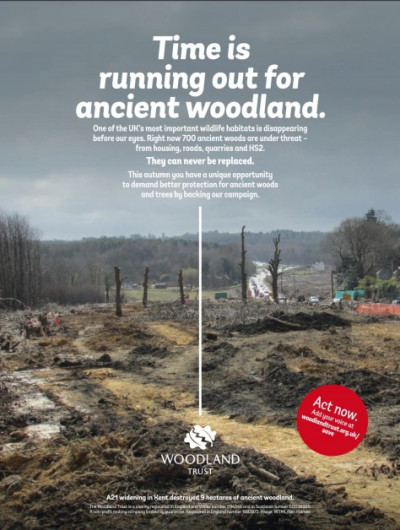 The Spectator October 14 2017 (4)