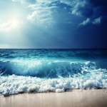 T3F7yA