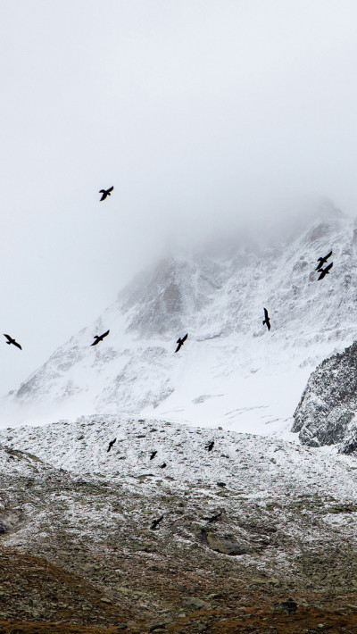 TDQVm.jpg
