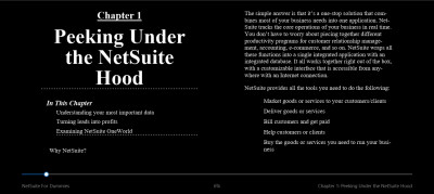 NetSuite For Dummies (4)