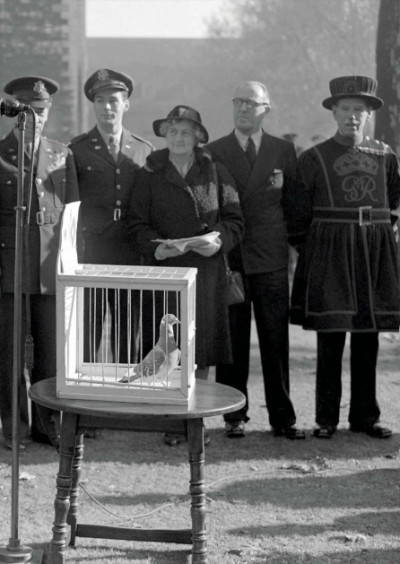 History Revealed 01 November 2017 (4)
