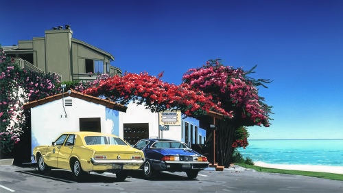 Laguna Beach by Hisao Kawada (16 9)