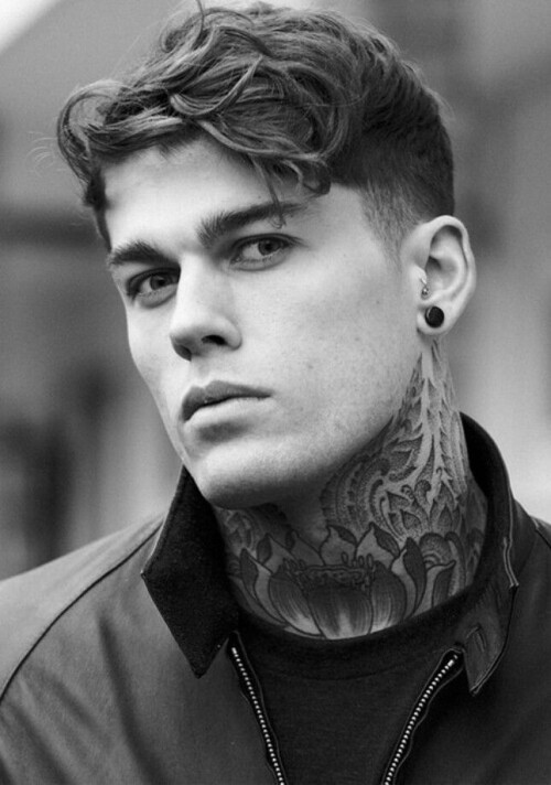 Stephen James Hendry Wiki