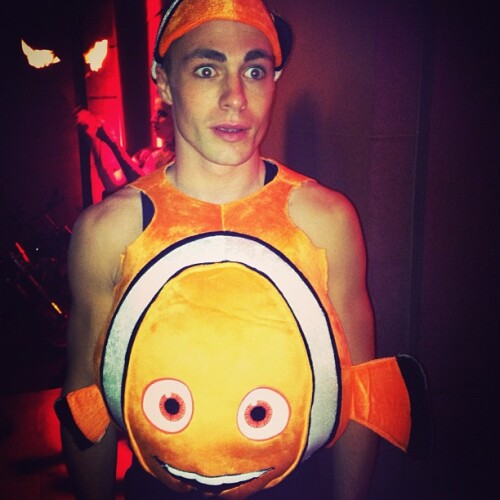 coltonlhaynes 112587245019896132876331333176982n