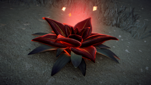 VE6zZ7.png