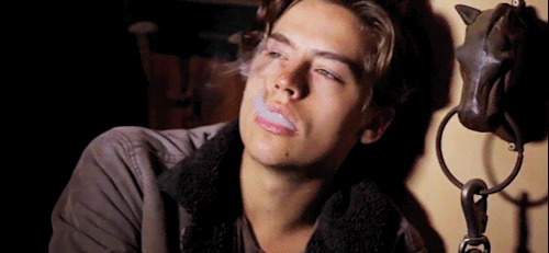 VHJXFv