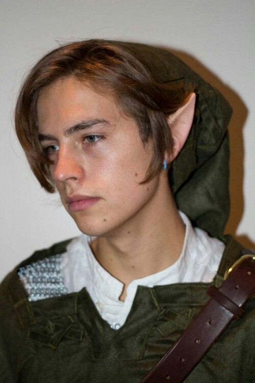 Cole Sprouse aka Link (1)