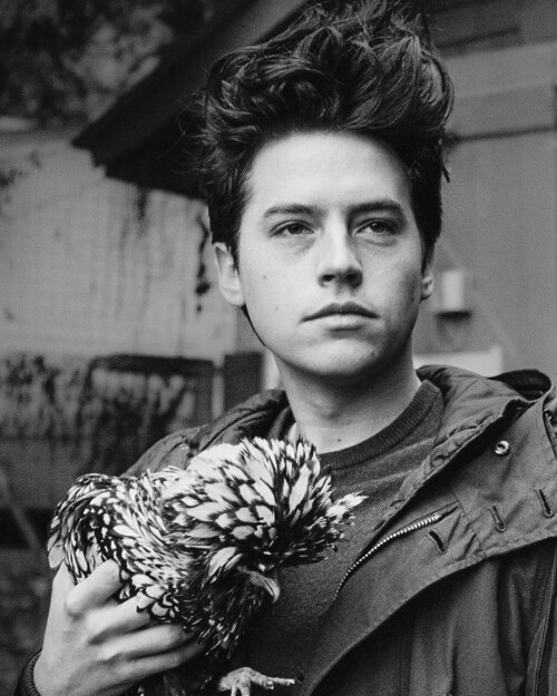 General picture of Cole Sprouse Photo 30 of 866